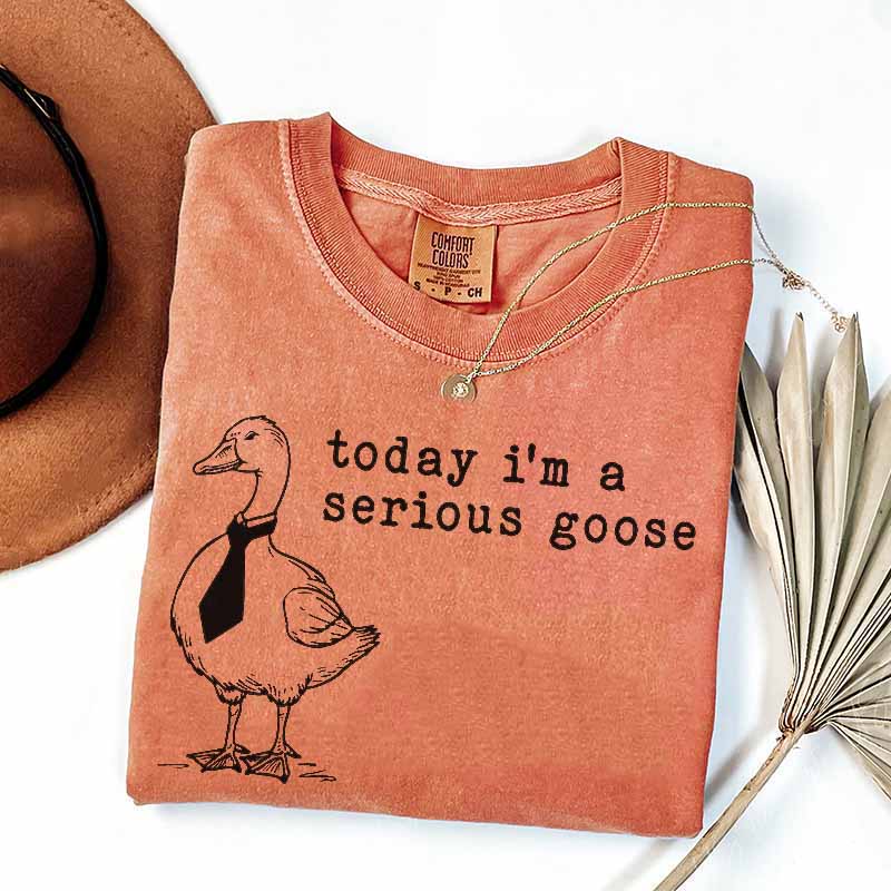 Funny Silly Today I'm a Serious Goose T-Shirt