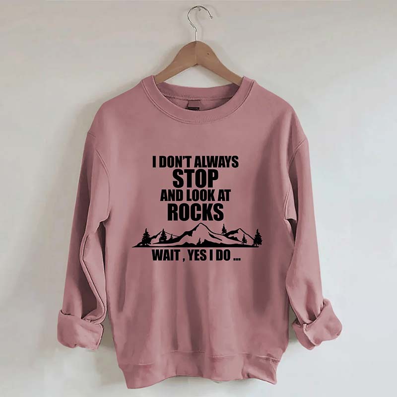 I Don't Always Stop And Look At Rocks Wait Yes I Do Sweatshirt