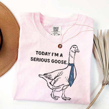 Today I'm a Serious Goose T-Shirt