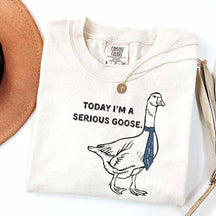 Today I'm a Serious Goose T-Shirt